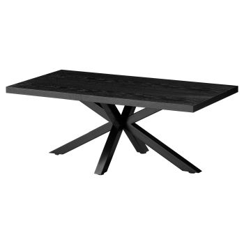 Design salontafel met blad van MDF-fineer en zwarte stalen poten, L.120 x D.60 x H.45 cm, ELIZA collectie